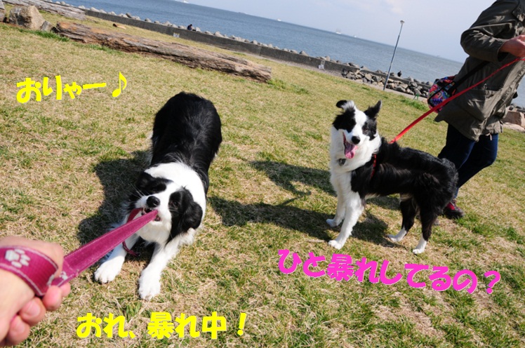 c0147241_20202969.jpg