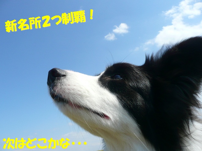 c0147241_2021675.jpg