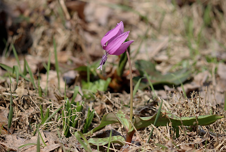 b0250154_7502015.jpg