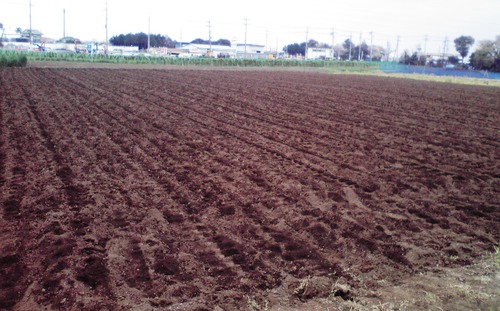 f0057955_9562644.jpg