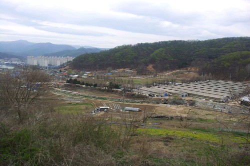 e0186656_6265561.jpg