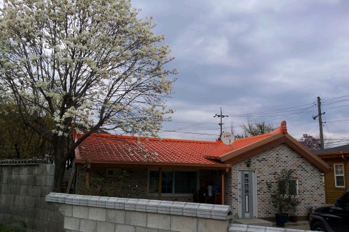 e0186656_6341664.jpg