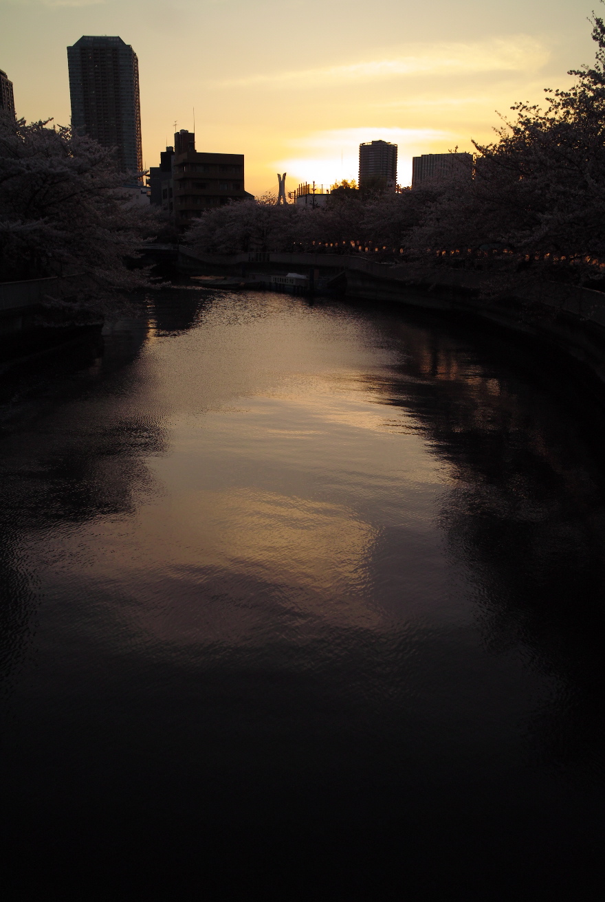 e0134658_102145.jpg