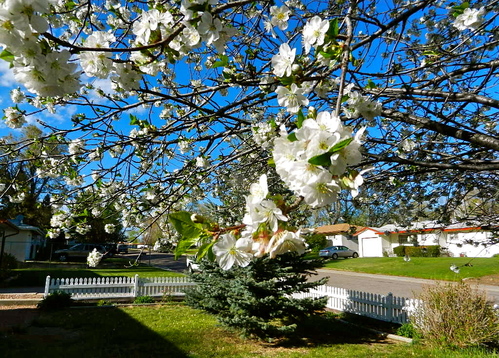 b0207361_1010815.jpg