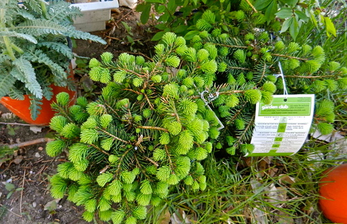 b0207361_10163579.jpg