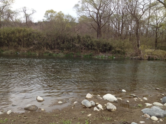 f0163561_9573537.jpg