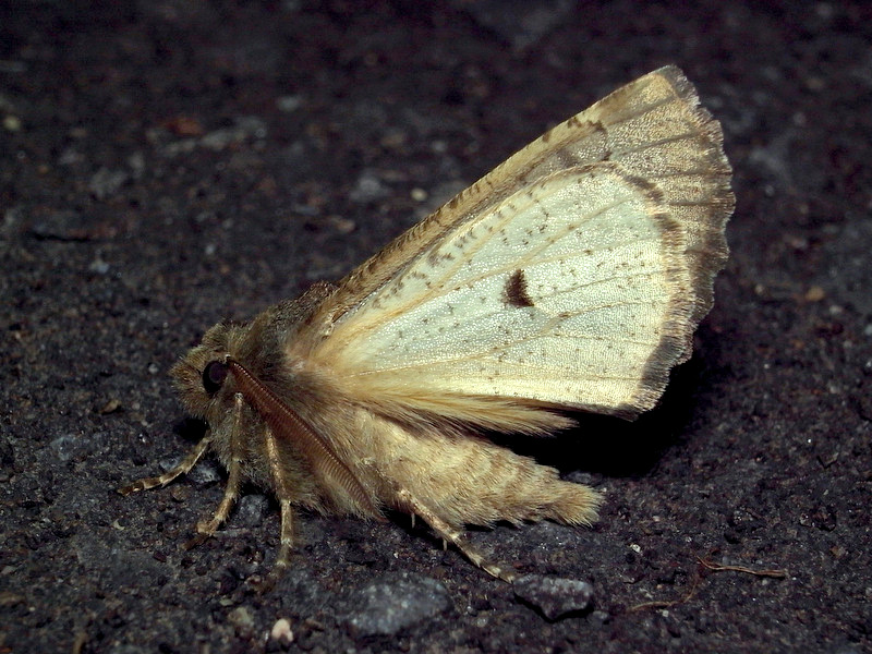 b0130166_2150181.jpg