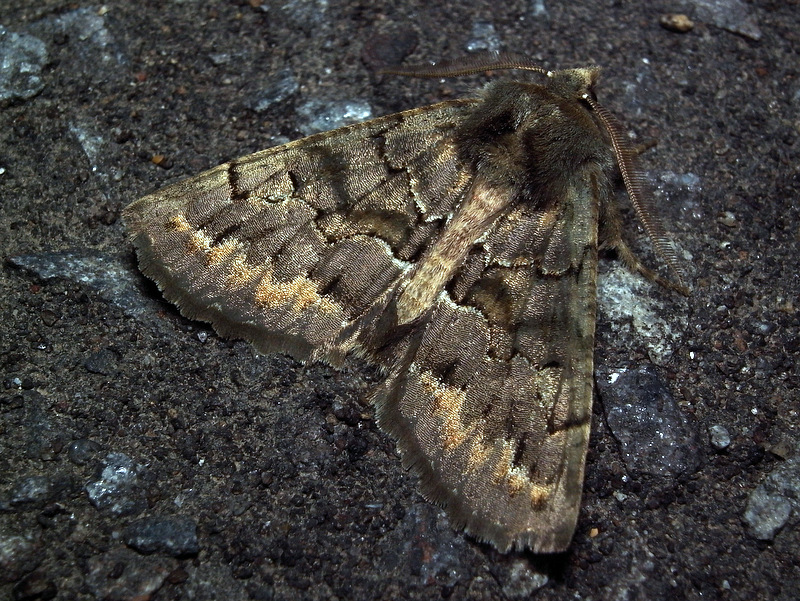 b0130166_21511148.jpg