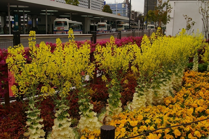 d0031171_8141337.jpg