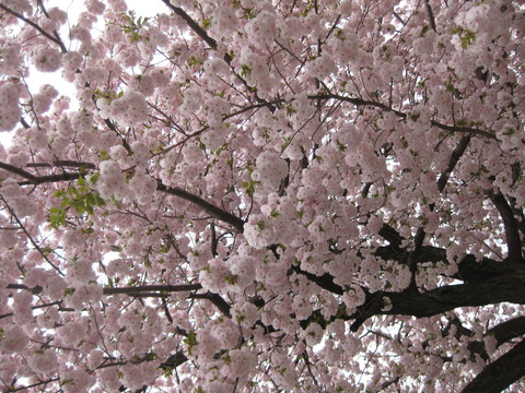 f0230380_19505055.jpg