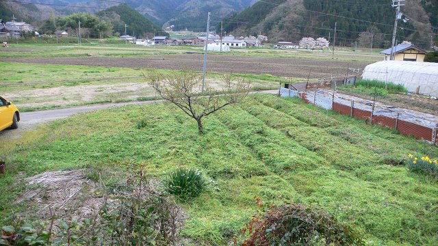 b0042882_121469.jpg