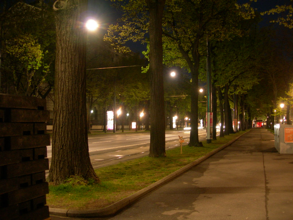 a0080183_325924.jpg