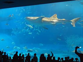 a0256692_2371999.jpg