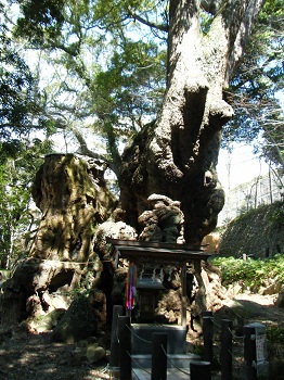 f0008692_20385347.jpg