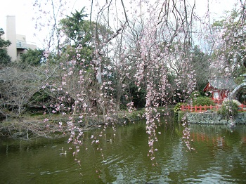 f0008692_20531780.jpg