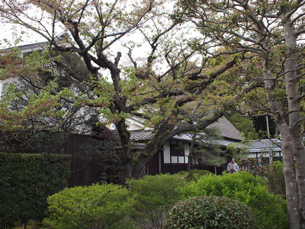 e0111793_17203117.jpg