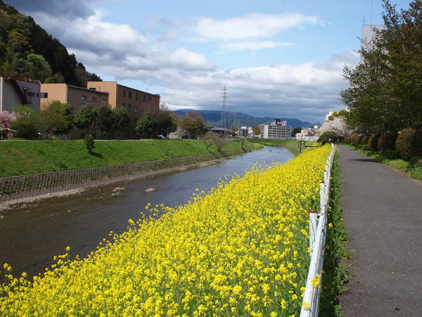 e0111793_172812.jpg