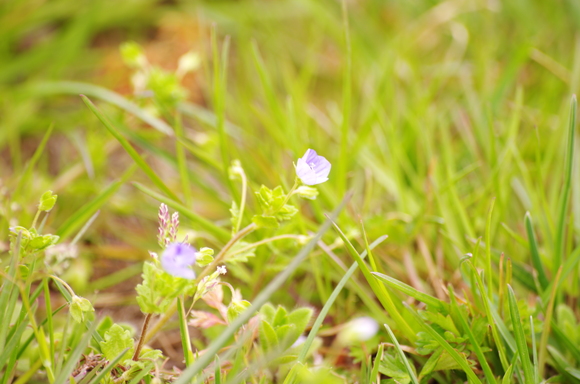 e0206394_12403747.jpg