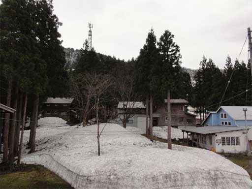 a0061599_80917.jpg