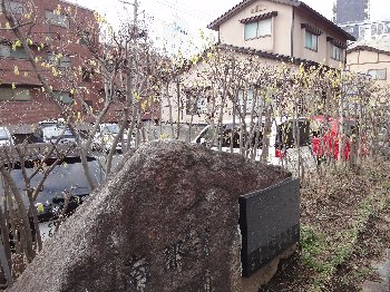 e0122199_2118245.jpg