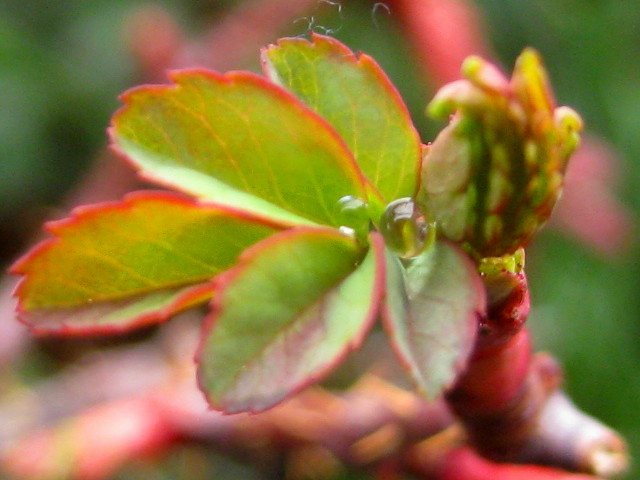 f0236201_8385172.jpg