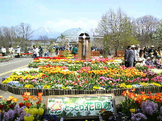 e0175702_20573814.jpg