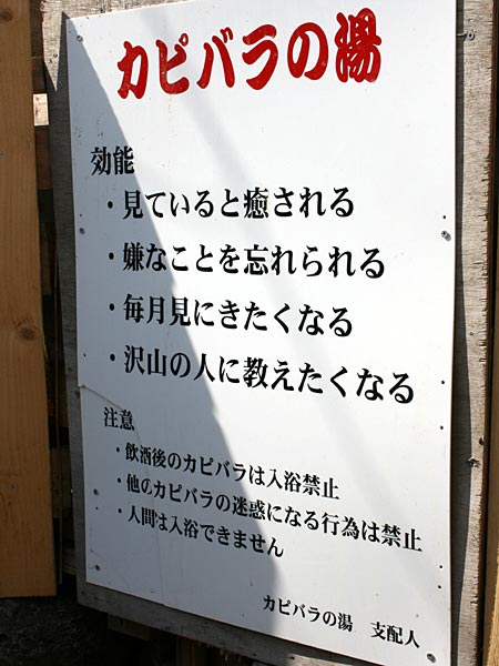 c0110906_107215.jpg