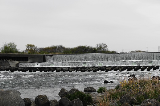 e0123808_214359.jpg
