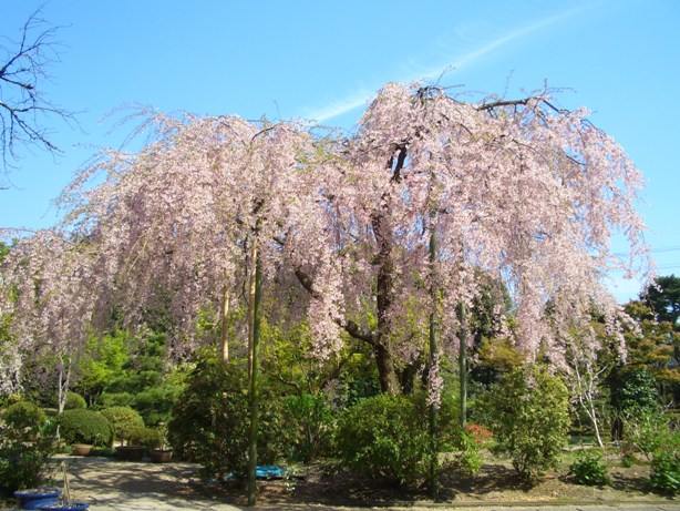 e0033713_19345424.jpg