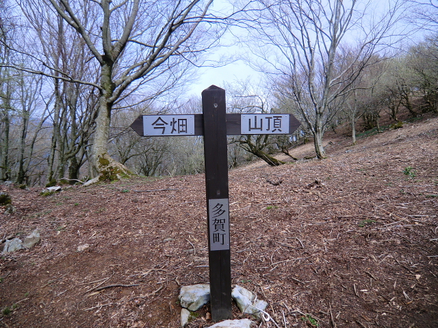 d0170615_19394328.jpg