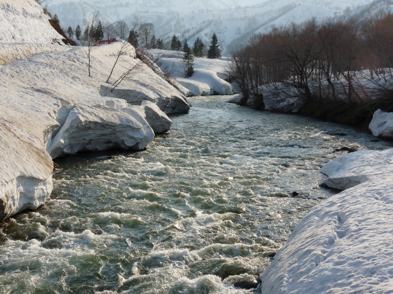 d0205917_16514945.jpg