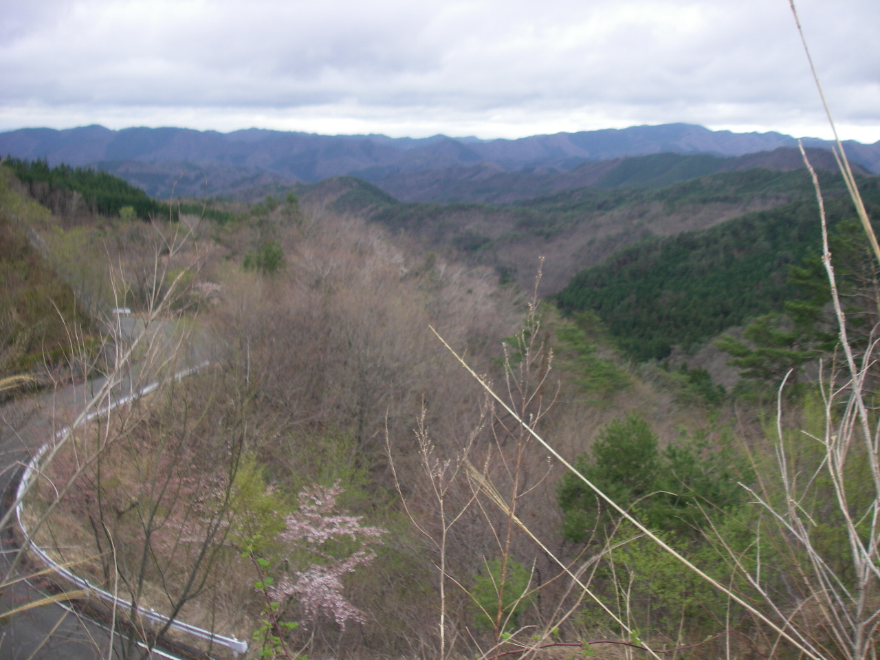 a0218118_9147.jpg