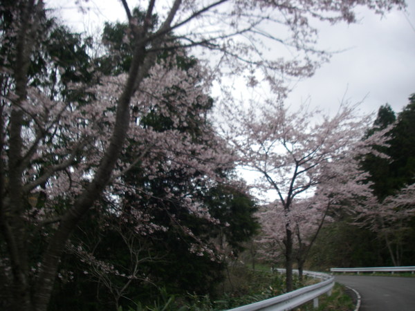 a0218118_927155.jpg