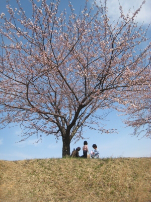c0146819_2205575.jpg