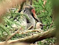e0083820_12534770.jpg