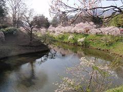 f0022024_22311865.jpg