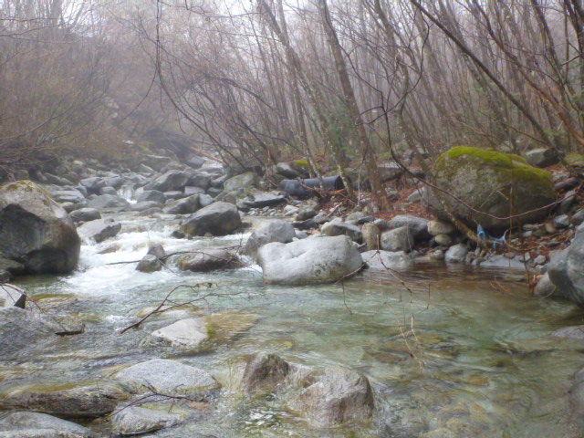 b0195927_23131777.jpg