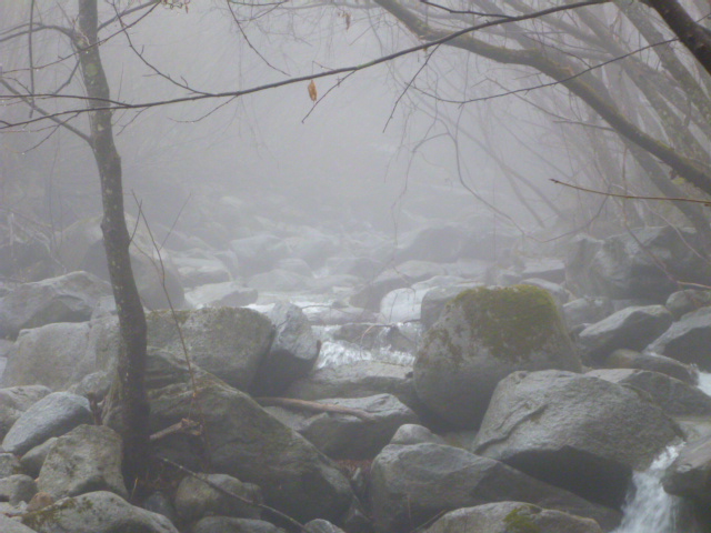 b0195927_2353817.jpg