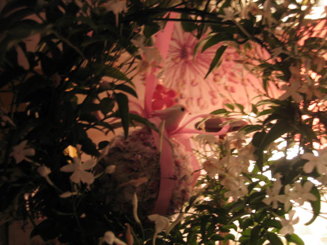 b0167334_22165640.jpg