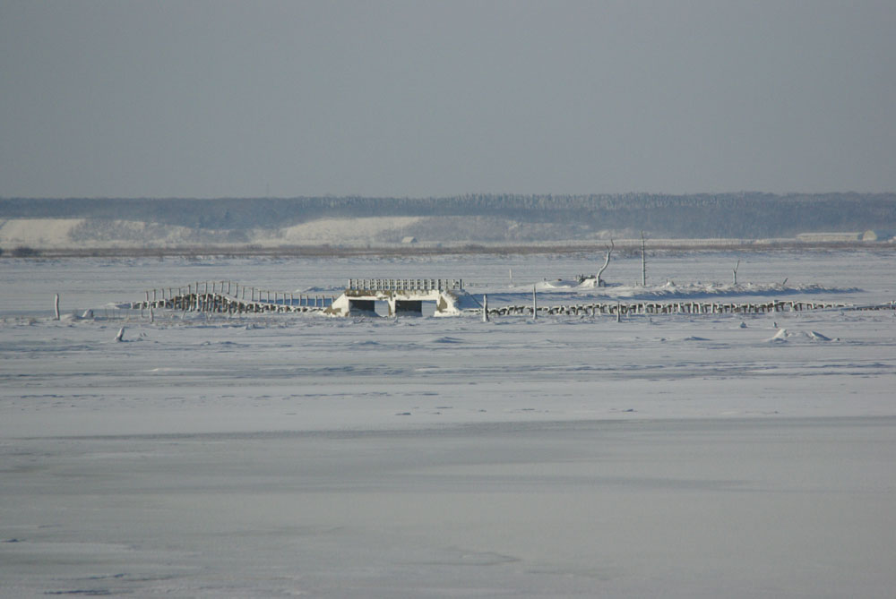 b0247838_11393872.jpg