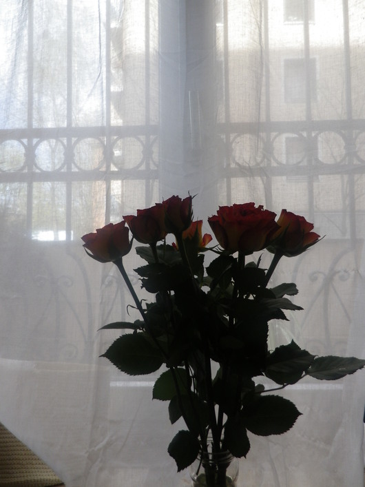 e0211739_22163499.jpg