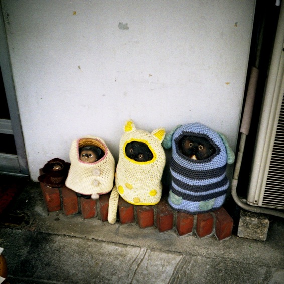 d0089742_0335789.jpg