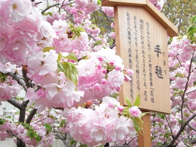 a0251851_0343131.jpg