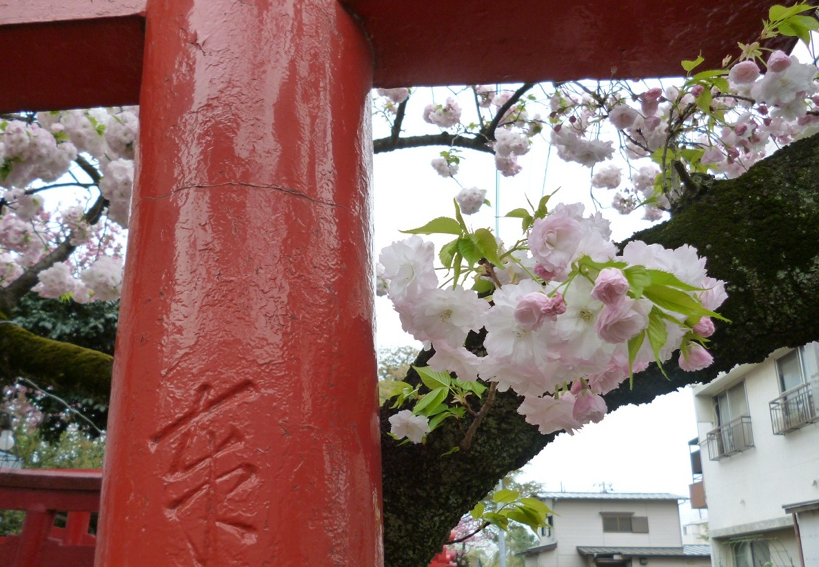 d0008157_0585889.jpg