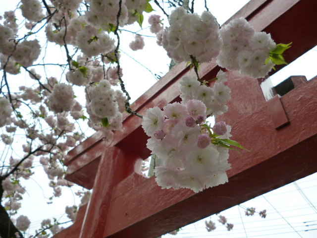 d0008157_0593038.jpg