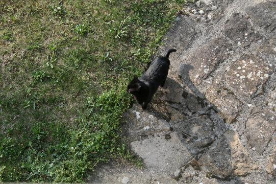 f0077159_523261.jpg