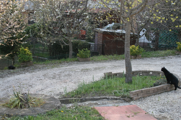 f0077159_5305072.jpg