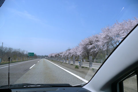 a0083760_2334734.jpg