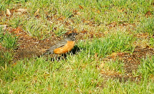 b0207361_9505855.jpg