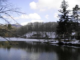 d0045362_1453047.jpg